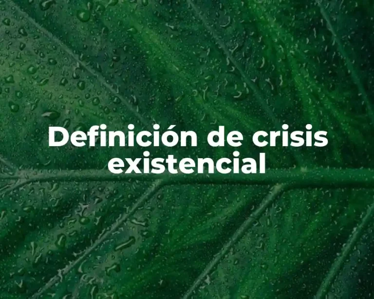 Definición de crisis existencial