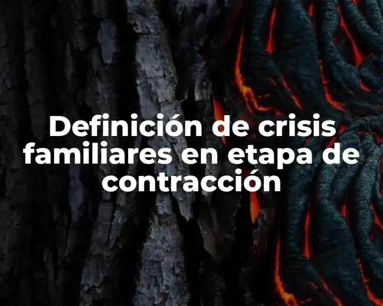 Definición de crisis familiares en etapa de contracción