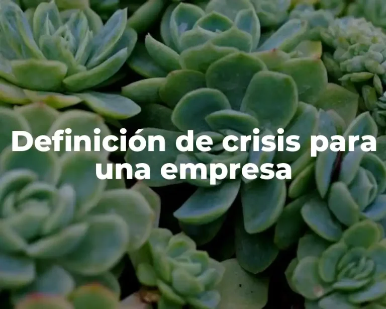 Definición de crisis para una empresa