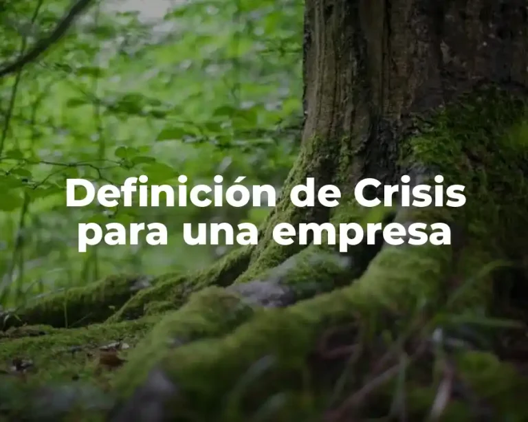 Definición de Crisis para una empresa
