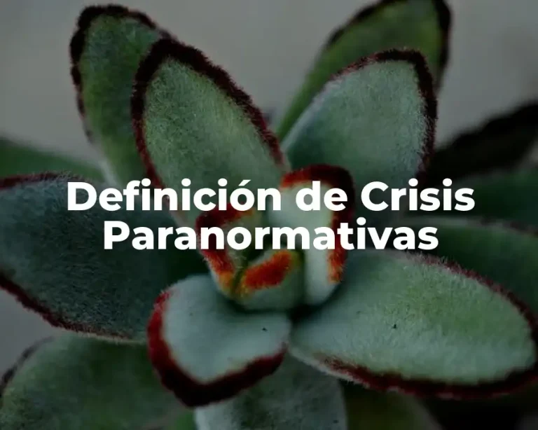 Definición de Crisis Paranormativas