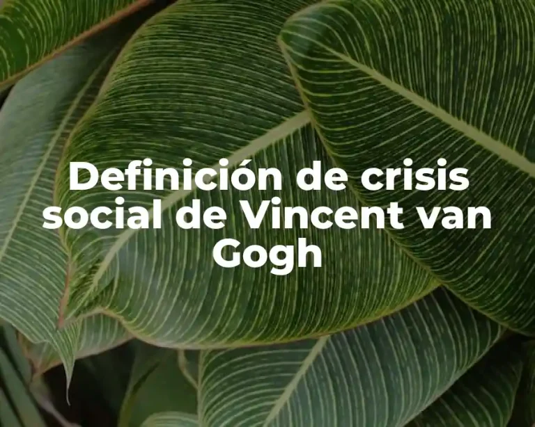 Definición de crisis social de Vincent van Gogh