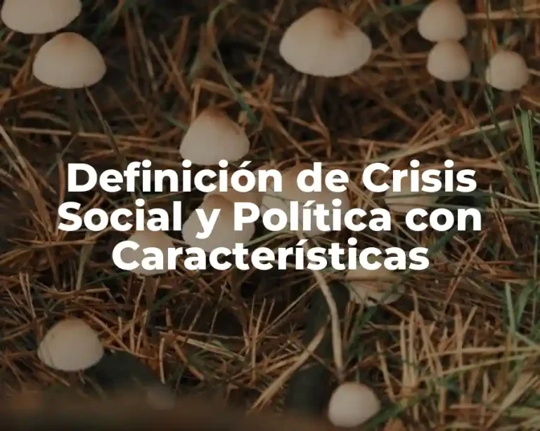 Definición de Crisis Social y Política con Características
