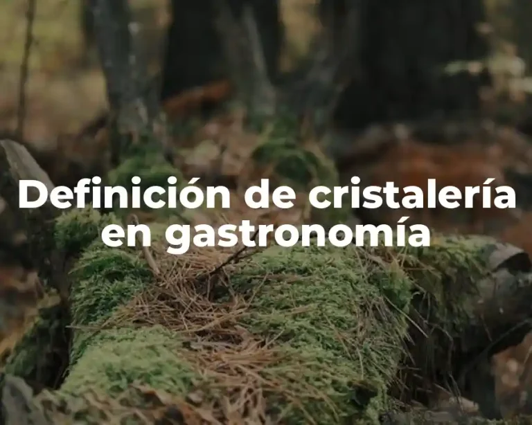 Definición de cristalería en gastronomía