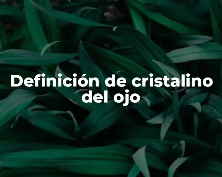 Definición de cristalino del ojo
