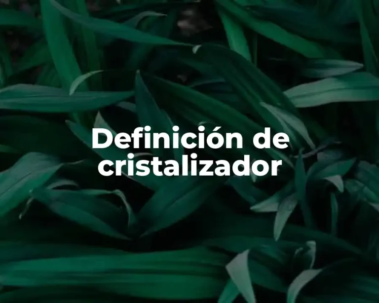 Definición de cristalizador