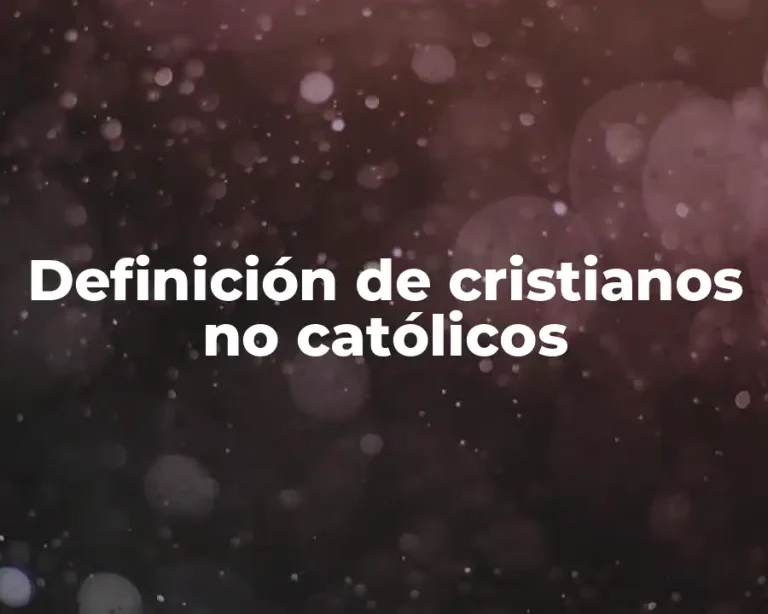 Definición de cristianos no católicos