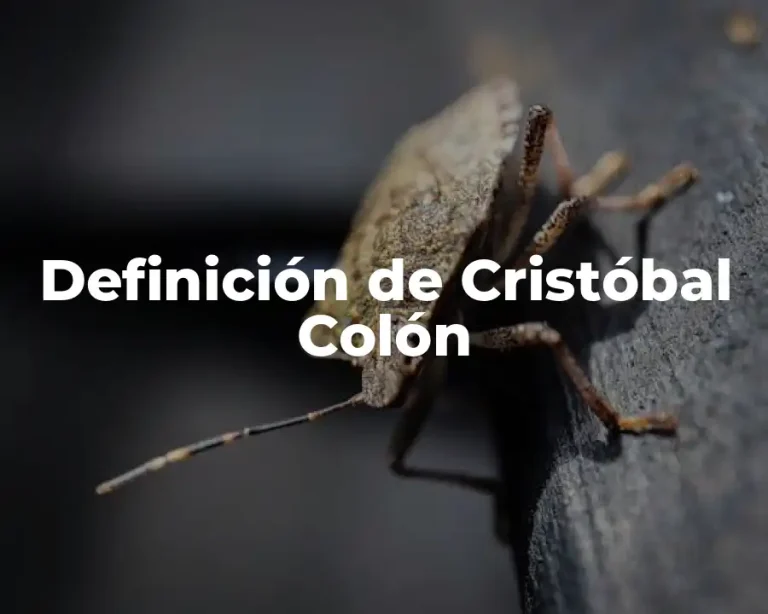 Definición de Cristóbal Colón