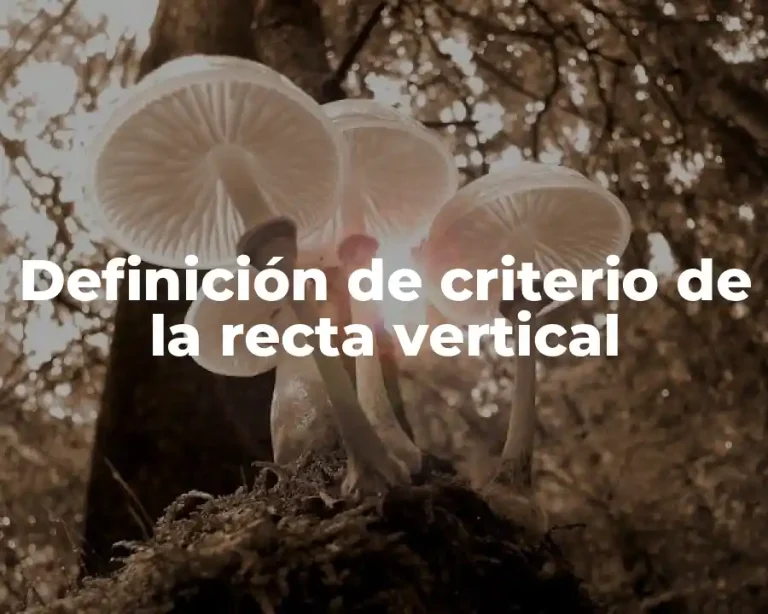 Definición de criterio de la recta vertical