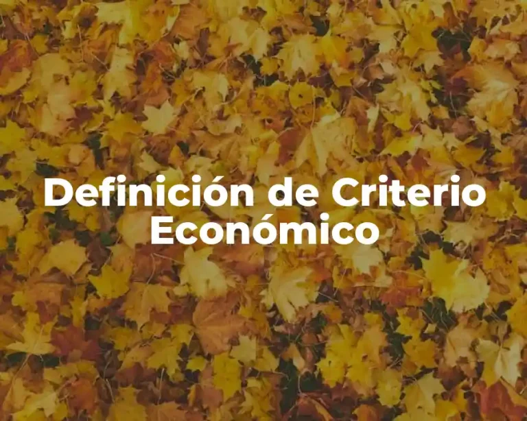 Definición de Criterio Económico