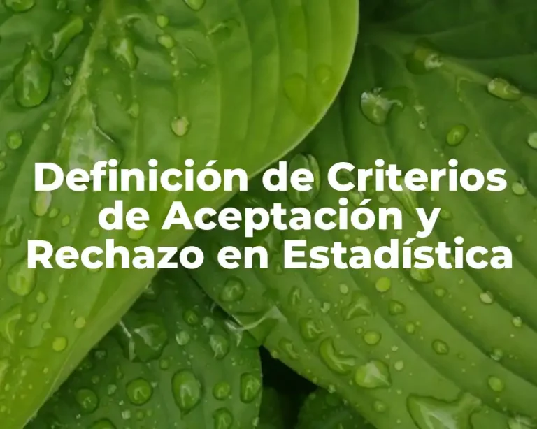 Definición de Criterios de Aceptación y Rechazo en Estadística