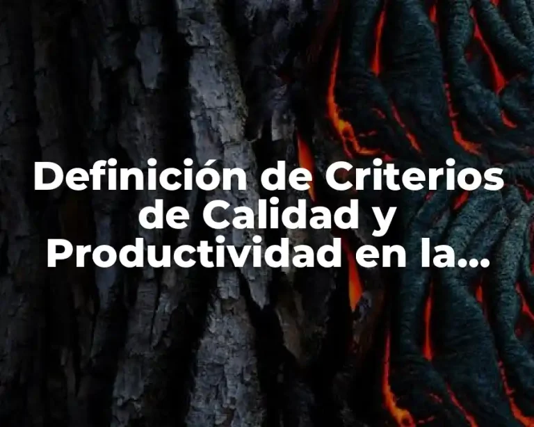 Definición de Criterios de Calidad y Productividad en la Producción