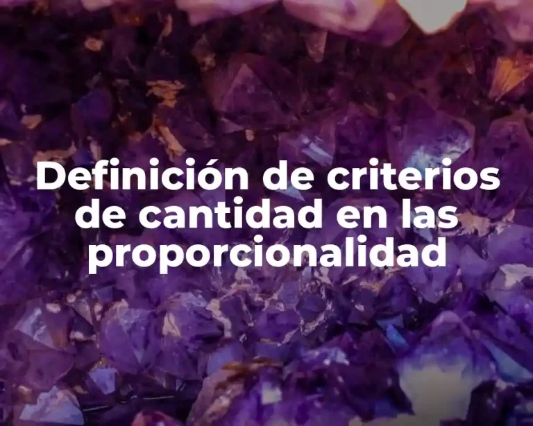Definición de criterios de cantidad en las proporcionalidad