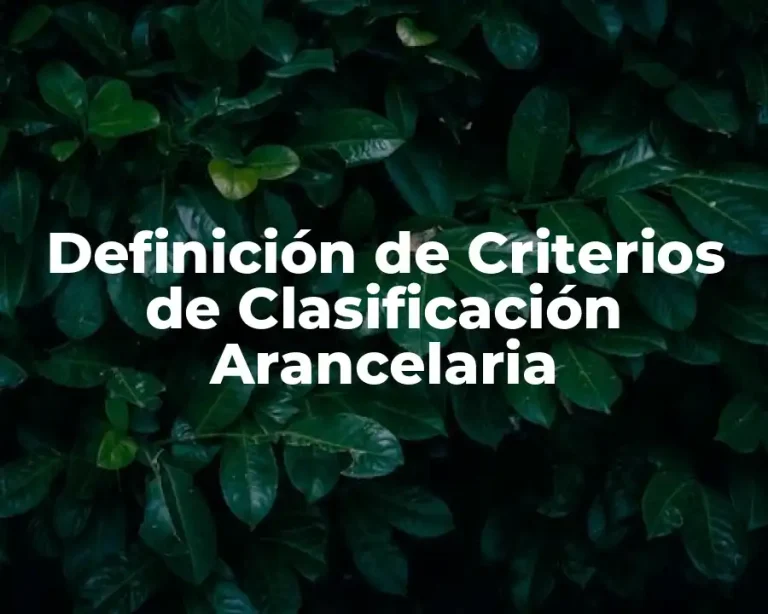 Definición de Criterios de Clasificación Arancelaria