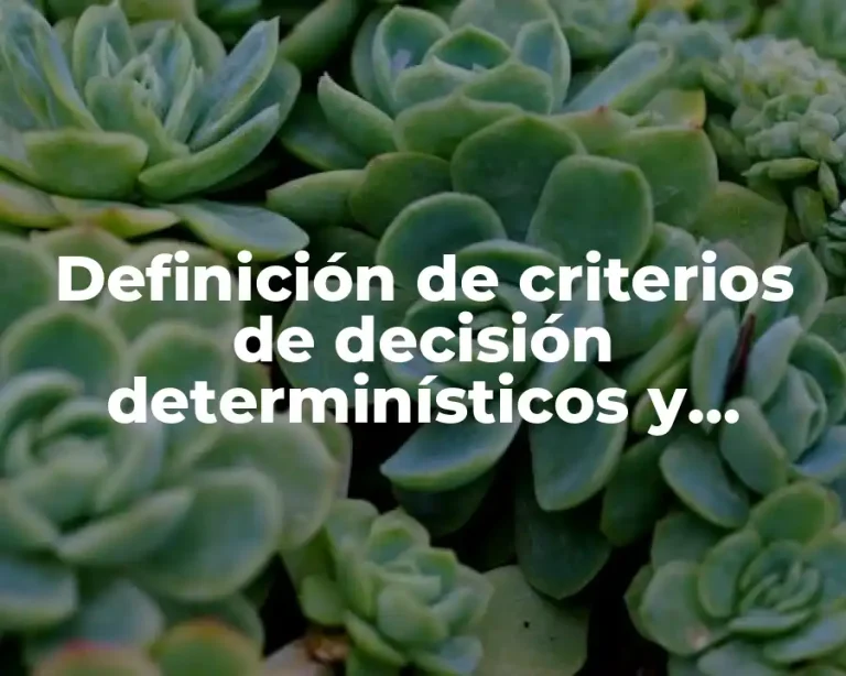 Definición de criterios de decisión determinísticos y probabilísticos