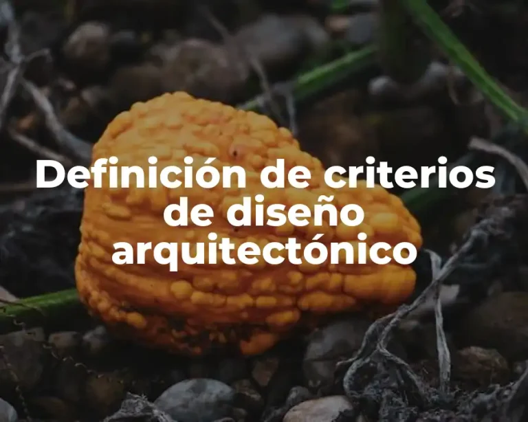 Definición de criterios de diseño arquitectónico