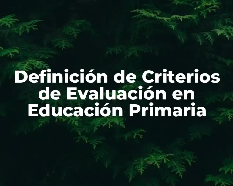Definición de Criterios de Evaluación en Educación Primaria