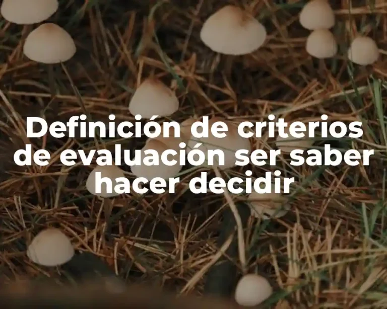 Definición de criterios de evaluación ser saber hacer decidir