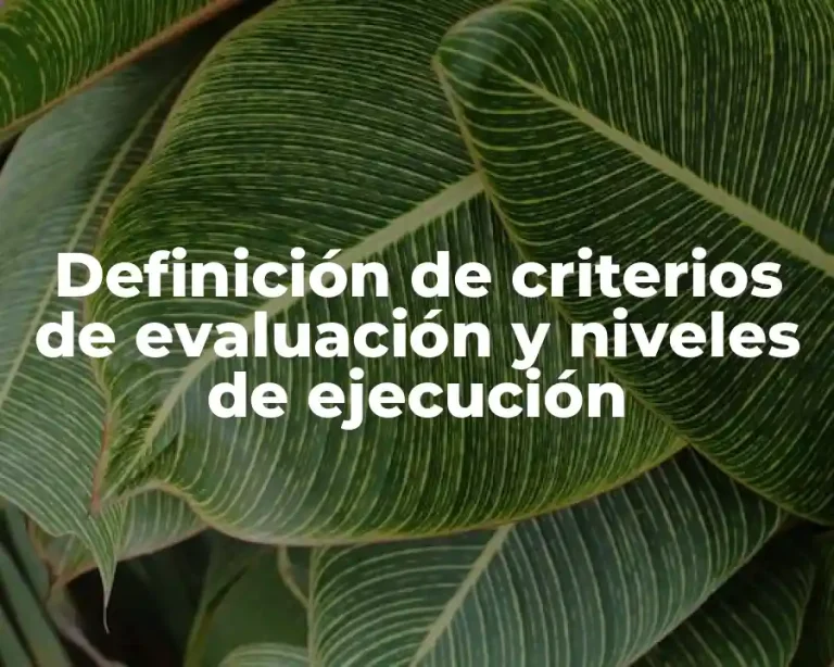Definición de criterios de evaluación y niveles de ejecución