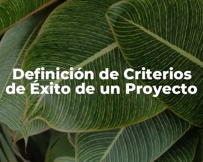 Definición de Criterios de Éxito de un Proyecto
