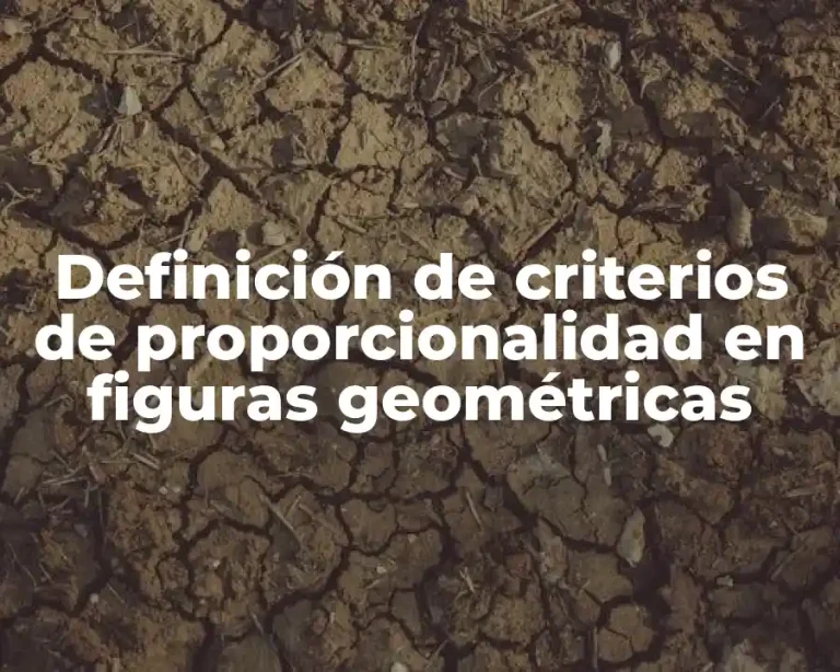 Definición de criterios de proporcionalidad en figuras geométricas
