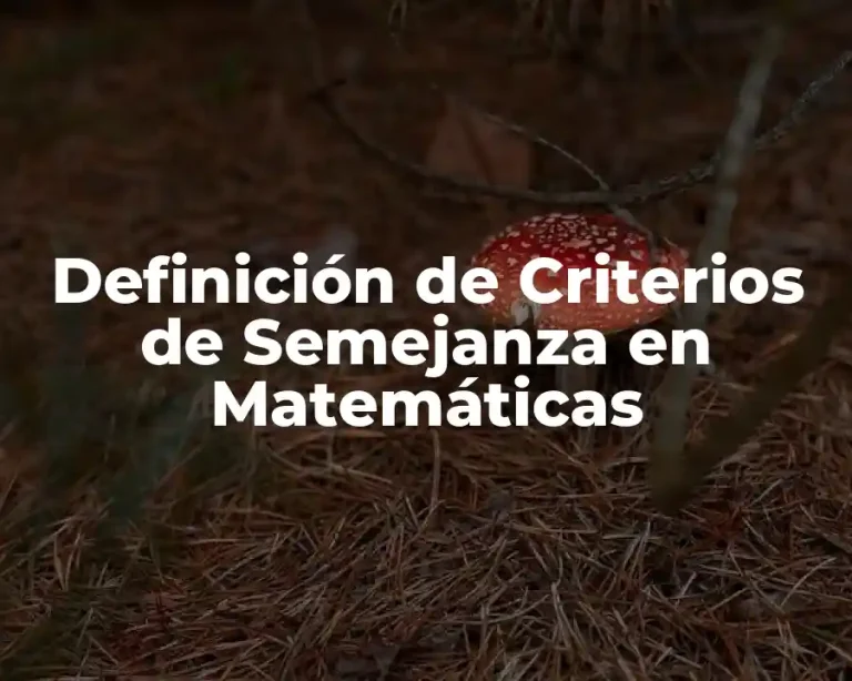 Definición de Criterios de Semejanza en Matemáticas