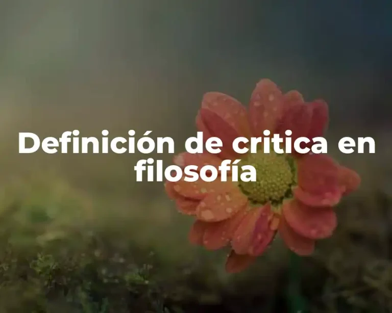 Definición de critica en filosofía