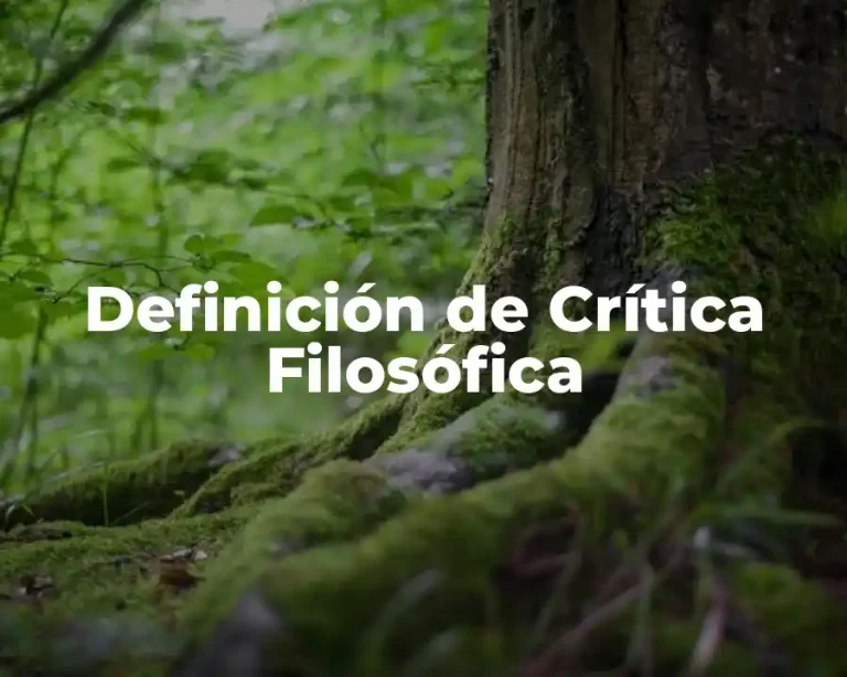 Definición de Crítica Filosófica
