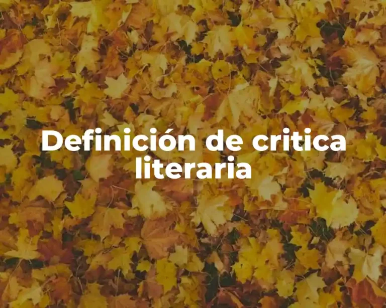 Definición de critica literaria