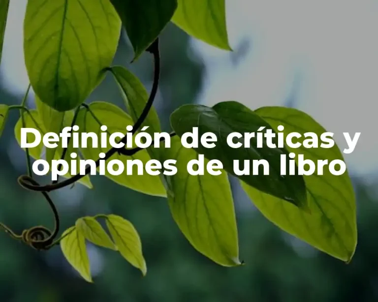 Definición de críticas y opiniones de un libro
