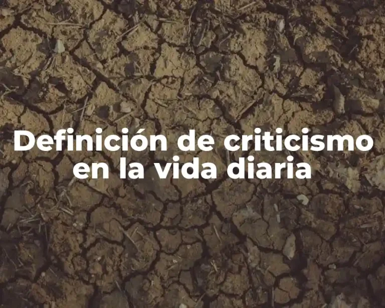 Definición de criticismo en la vida diaria