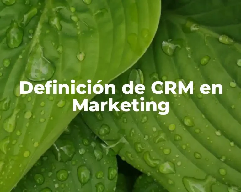 Definición de CRM en Marketing