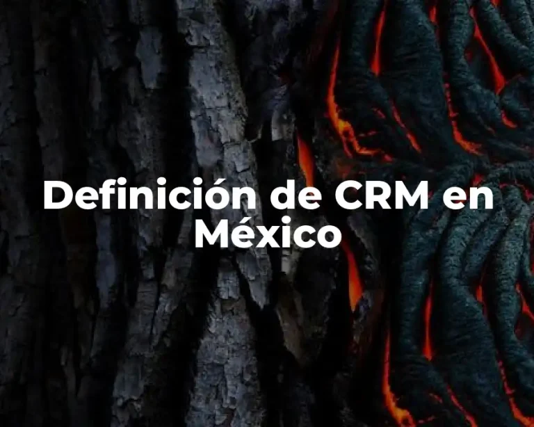 Definición de CRM en México