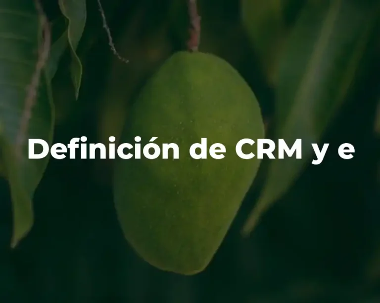 Definición de CRM y e