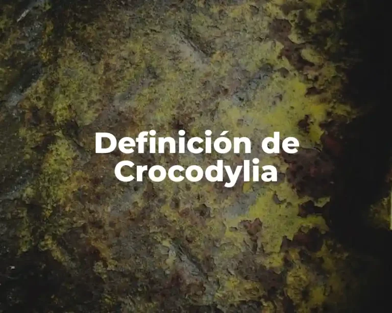 Definición de Crocodylia