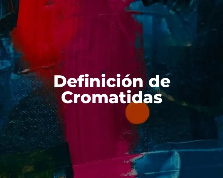 Definición de Cromatidas