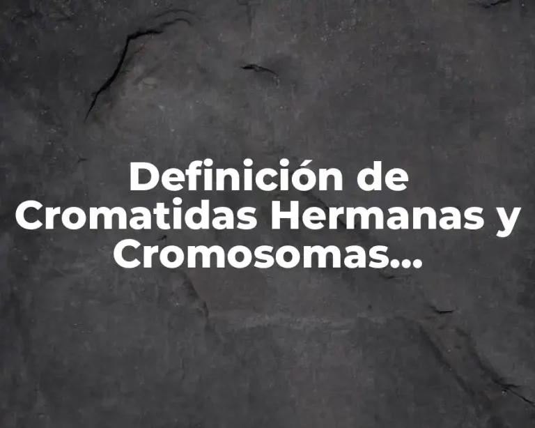Definición de Cromatidas Hermanas y Cromosomas Homólogos
