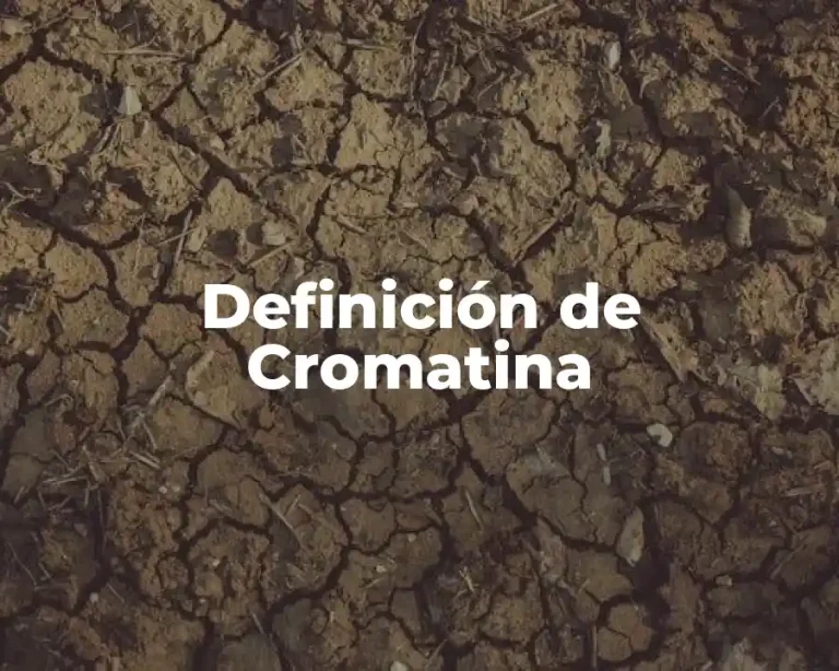 Definición de Cromatina