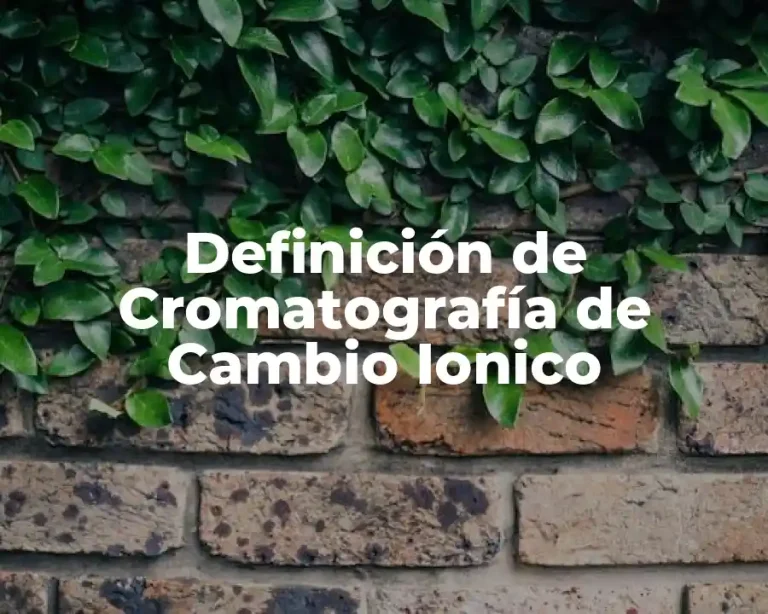 Definición de Cromatografía de Cambio Ionico