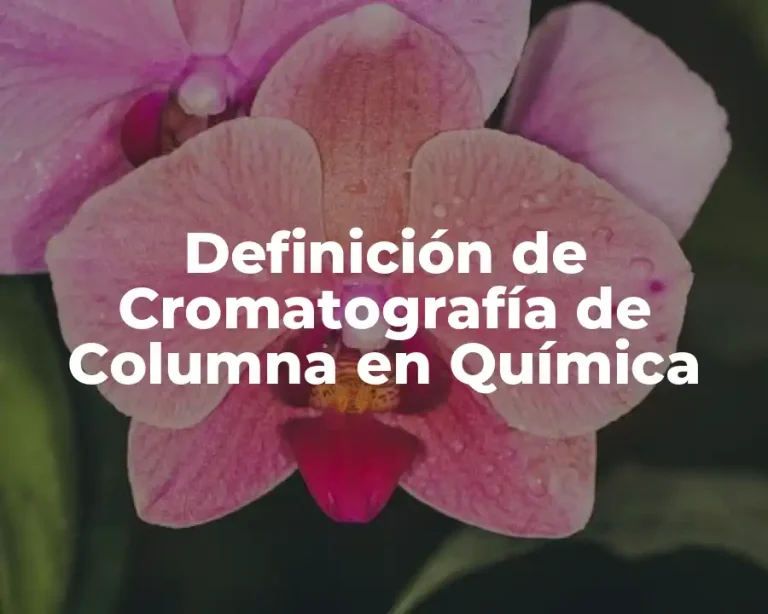 Definición de Cromatografía de Columna en Química