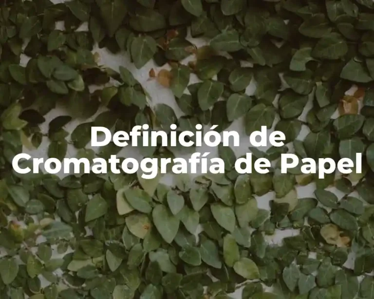 Definición de Cromatografía de Papel