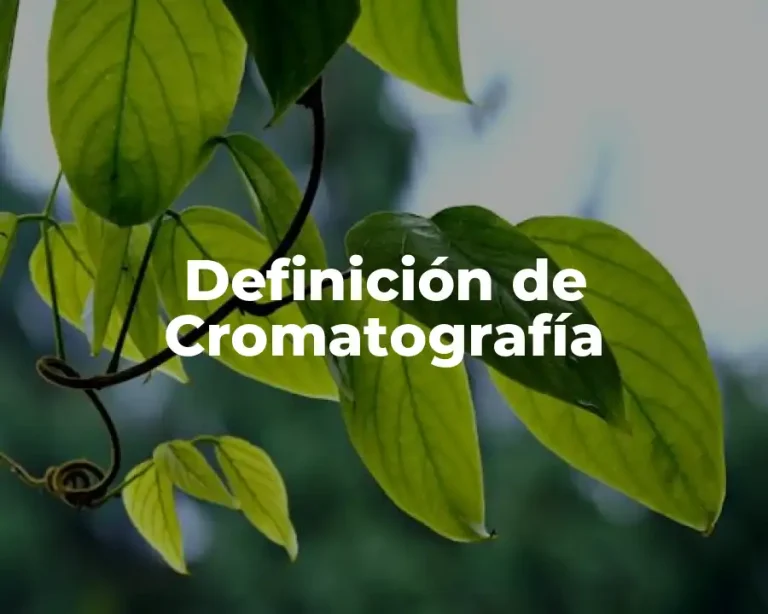 Definición de Cromatografía