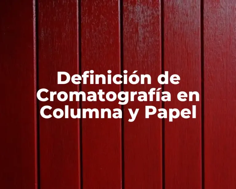Definición de Cromatografía en Columna y Papel
