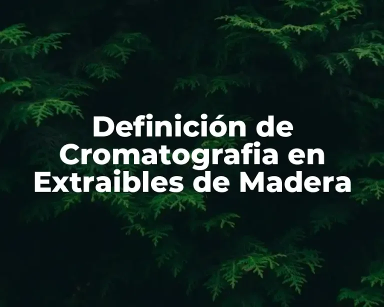 Definición de Cromatografia en Extraibles de Madera