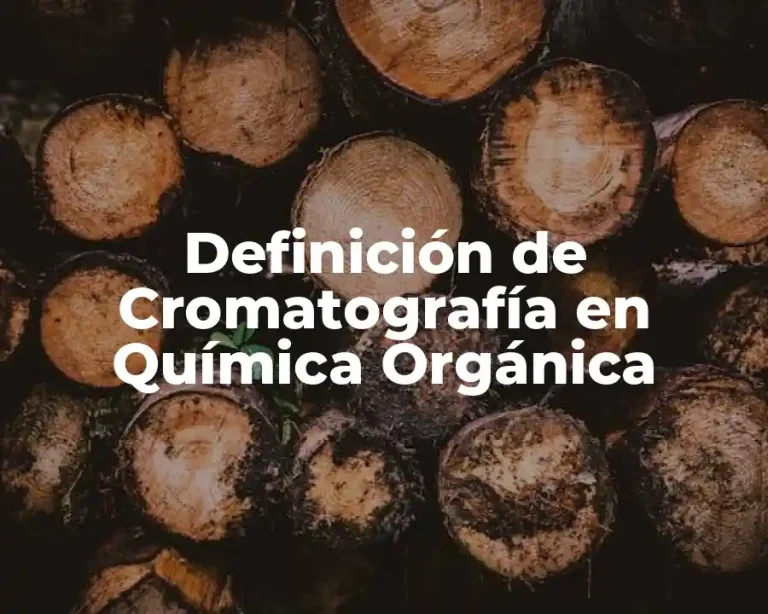 Definición de Cromatografía en Química Orgánica