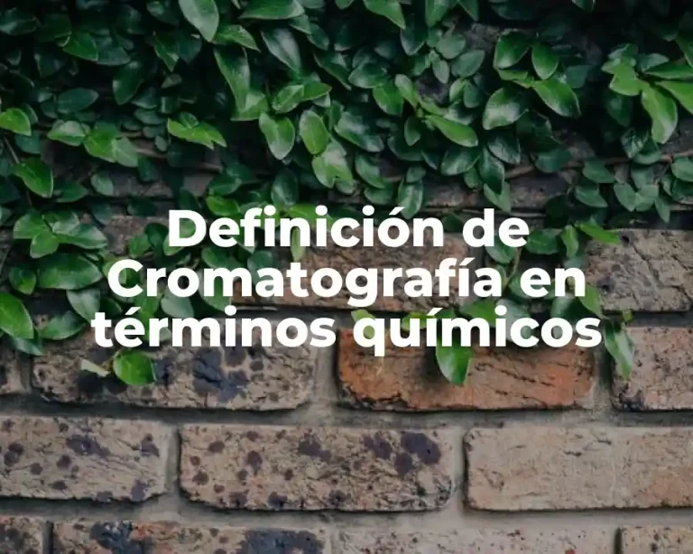 Definición de Cromatografía en términos químicos