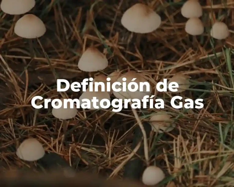 Definición de Cromatografía Gas