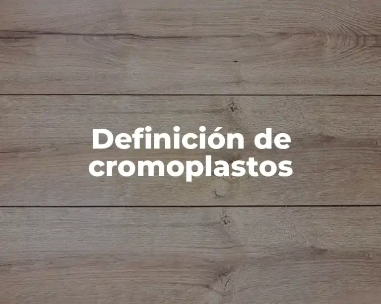 Definición de cromoplastos