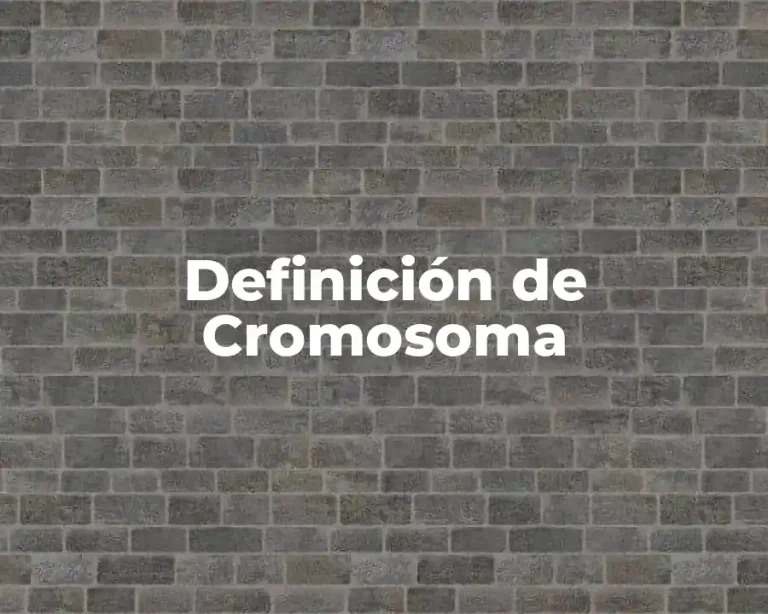 Definición de Cromosoma