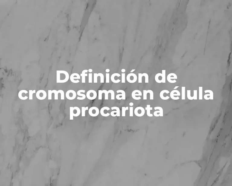 Definición de cromosoma en célula procariota